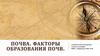 Почва. Факторы образования почв