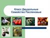 Класс Двудольные, семейство Пасленовые