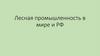 Лесная промышленность в мире и РФ