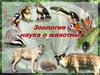 Зоология – наука о животных