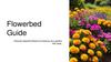 Flowerbed Guide