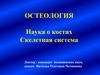 Остеология. Наука о костях. Скелетная система