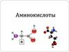 Аминокислоты