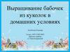 Выращивание бабочек из куколок в домашних условиях