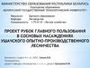 Проект рубок главного пользования в сосновых насаждениях Ушачского опытно-производственного лесничества