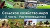Сельское хозяйство мира (1 часть - Растениеводство)