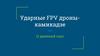 Ударные FPV дроны-камикадзе
