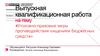 Выпускная квалификационная работа. Шаблон. Введение