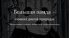 Большая панда - символ дикой природы