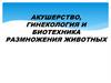 Акушерство, гинекология и биотехника размножения животных