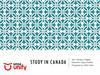 Study in canada