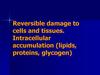 Reversible damage to cells and tissues. Intracellular accumulation (lipids, proteins, glycogen)