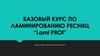 Базовый курс по ламинированию ресниц “Lami PROf”. Из жизни ресниц