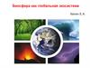 Биосфера как глобальная экосистема