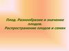 Плоды. Распространение плодов и семян  (6 класс)
