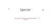 Цистит. Симптомы и лечение воспаления мочевого пузыря