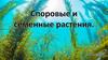 Споровые и семенные растения