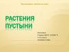 Растения пустыни