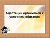 Адаптации организмов к условиям обитания