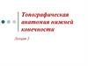 Топографическая анатомия нижней конечности
