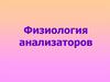 Физиология анализаторов