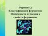 Классификация ферментов. Особенности строения и свойств ферментов