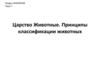 Царство Животные. Принципы классификации животных