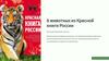 5 животных из Красной книги России