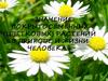 Значение покрытосеменных (цветковых) растений в природе и жизни человека