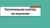 Растительная клетка, ее изучение. Биология. 6 класс