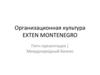 Организационная культура Exten Montenegro