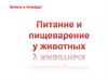 Питание и пищеварение у животных