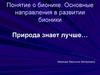 Понятие о бионике. Основные направления в развитии бионики. Природа знает лучше…