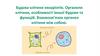 Будова клітини евкаріотів. Органели клітини, особливості їхньої будови та функцій. Взаємозв’язок органел клітини між собою