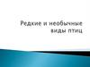 Редкие и необычные виды птиц