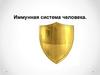Иммунная система человека  (9 - 10 класс)