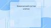 Химический состав клетки. Химические элементы клеток