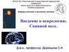 Введение в неврологию. Спинной мозг