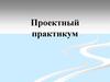 Проектный практикум