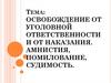 Освобождение от уголовной ответственности и от наказания. Амнистия, помилование, судимость