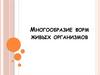 Многообразие форм живых организмов