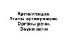 Артикуляция. Этапы артикуляции. Органы речи. Звуки речи