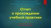 Отчет по практике