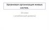 Уровневая организация живых систем. 10 класс (углубленный уровень)