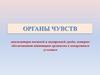 Органы чувств