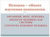Организм, мозг, психика. Зрелость человека как системы. Структура психики человека
