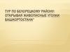 Тур по Белорецкому району: открывая живописные уголки Башкортостана