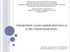 Управление адаптацией персонала в АО «Андроновское»