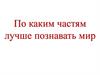 По каким частям лучше познавать мир?