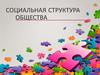 Социальная структура общества